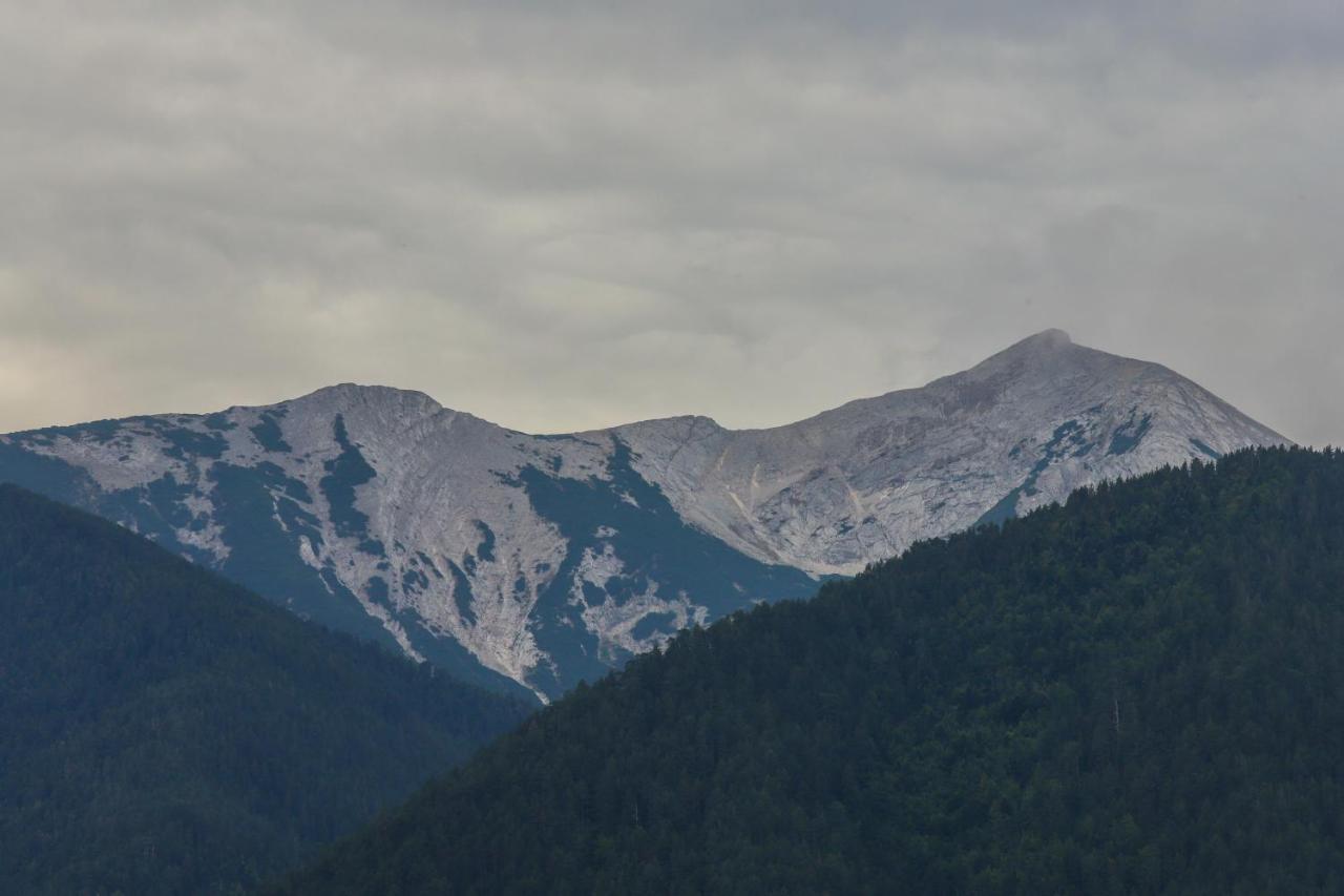 Mountain Hawk Park Villa Bansko Exterior photo